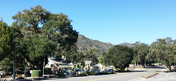 Downtown Carmel Valley