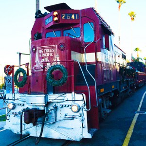 Santa Cruz Christmas Train