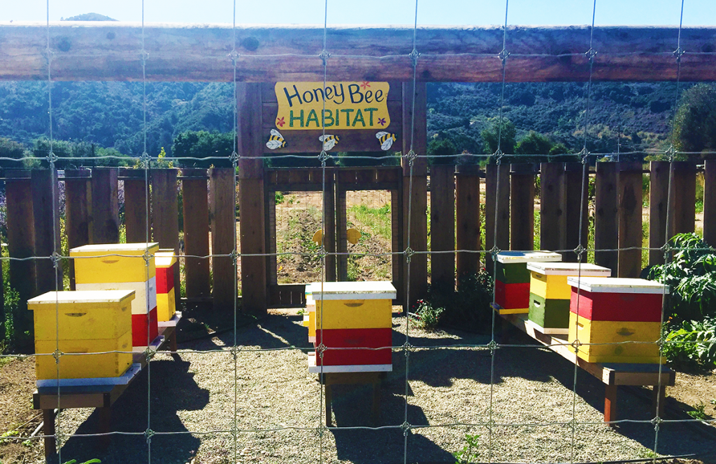 Earthbound Farm Honeybee Habitat