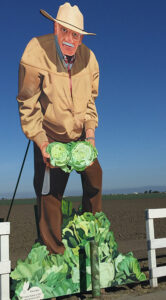 Salinas Cabbage Man