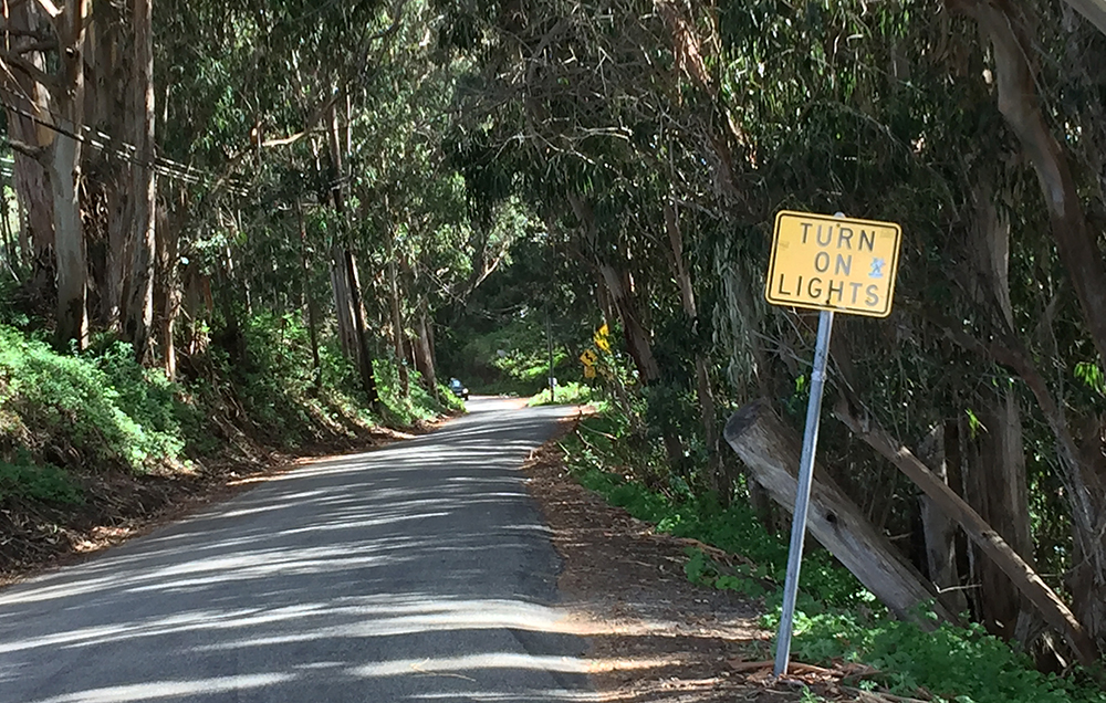 A Journey to Big Sur (Part 3)