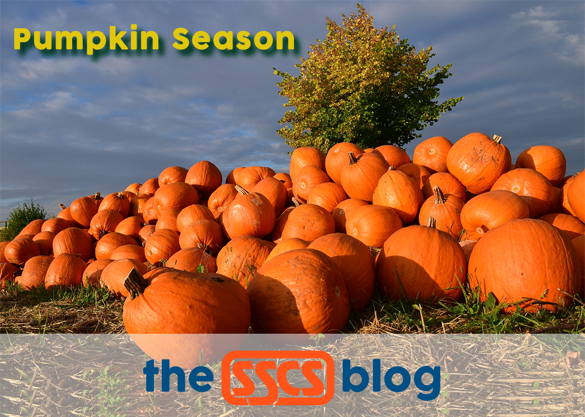 For C-Stores, Every Season is Pumpkin Season