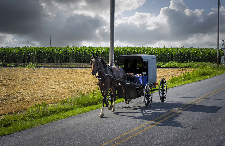 The Amish in the Driftless Area