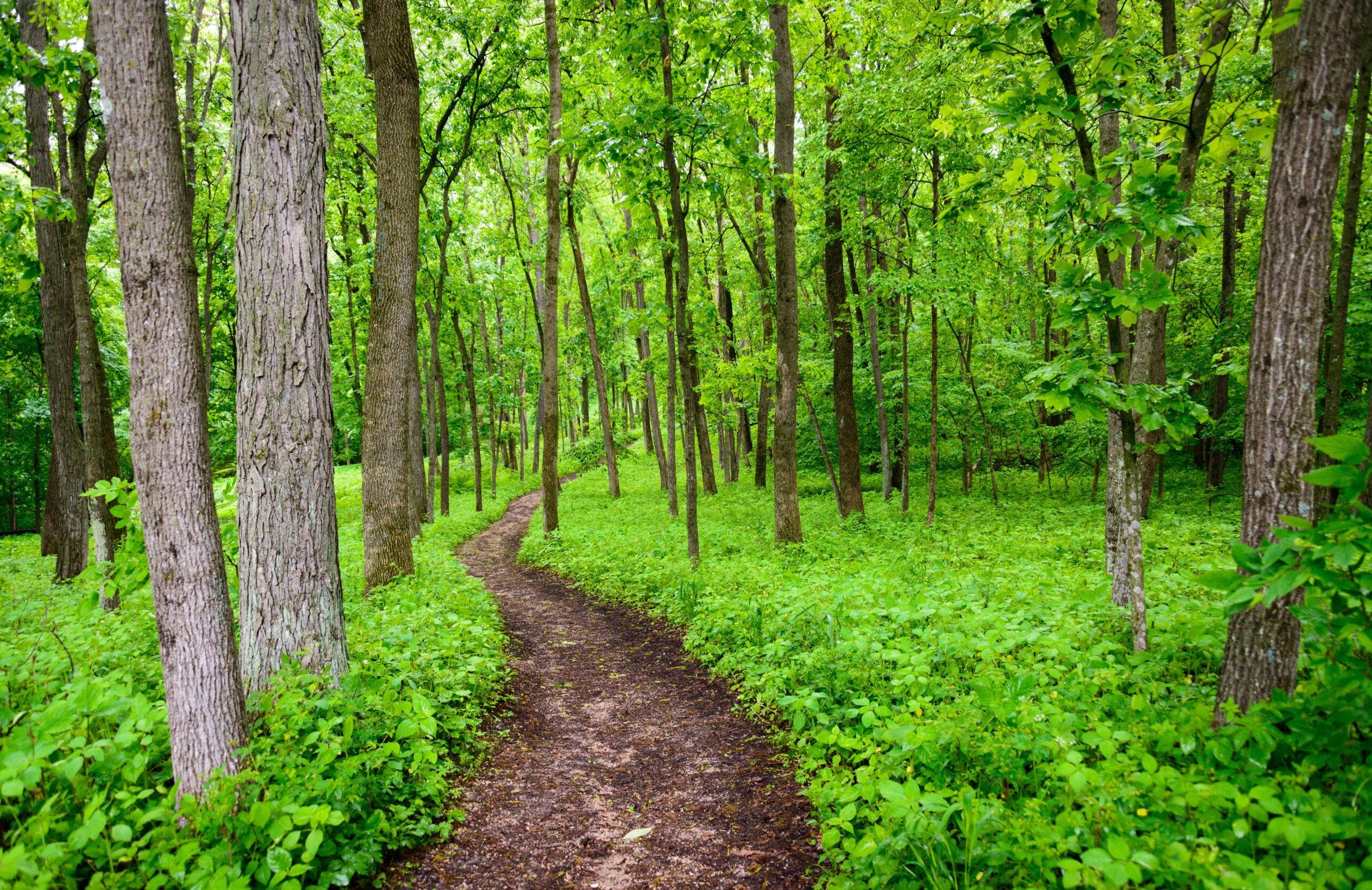 Effigy Mounds Monument