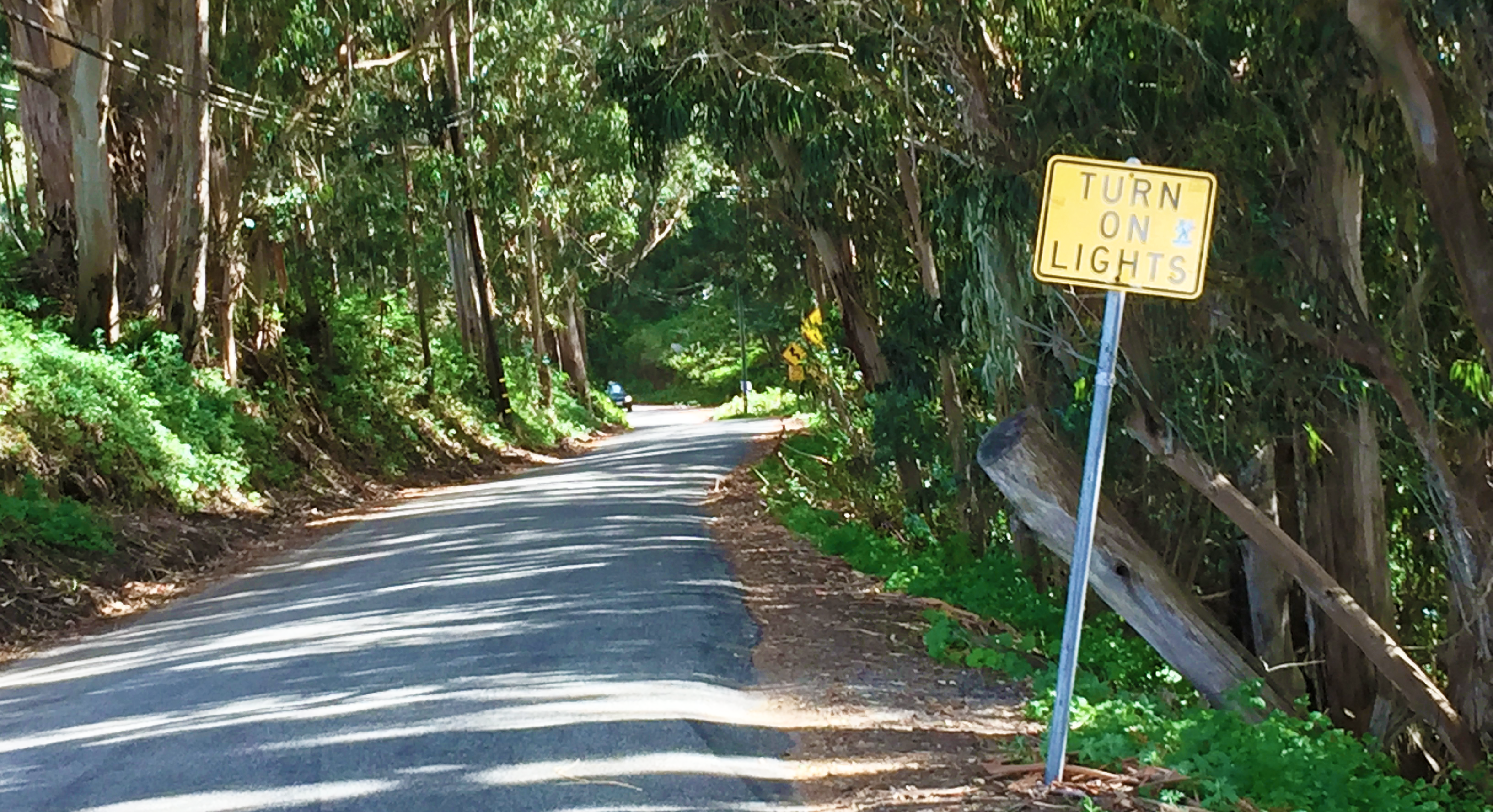 Big Sur