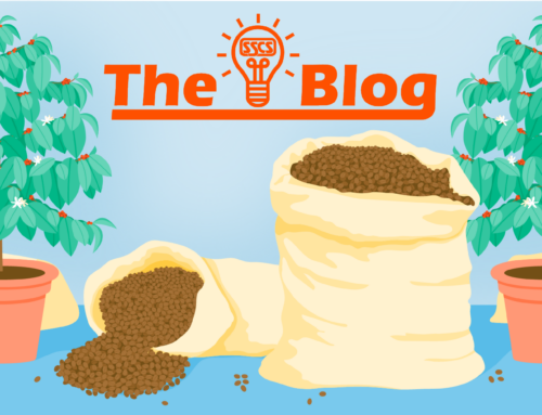 The Coffee You Think You Know (Part 1)