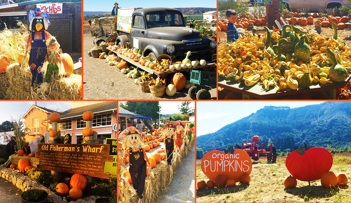 Local Halloween Flavor